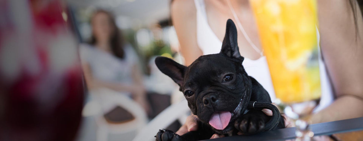 The dog days of summer have customers panting for a refreshment ...