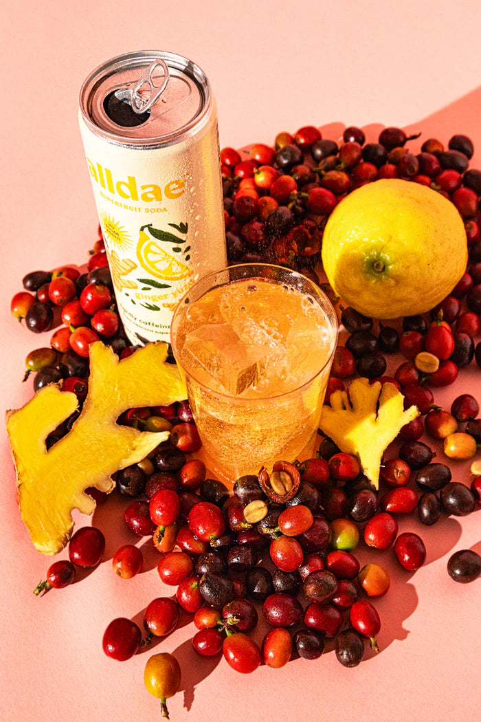 
                  
                    Alldae Superfruit Soda - Ginger Yuzu
                  
                